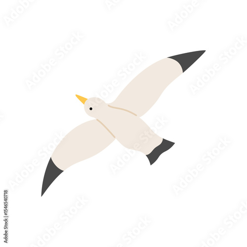 Flying gull. Seabird icon illustration on white background