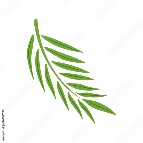 Illustration of a green palm leaf on a light background