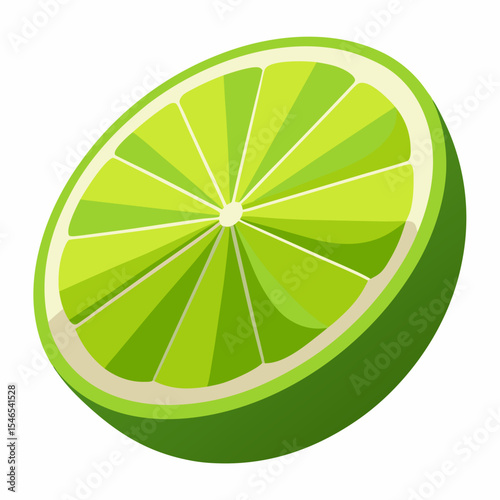 Half a lime fruit slice illustration