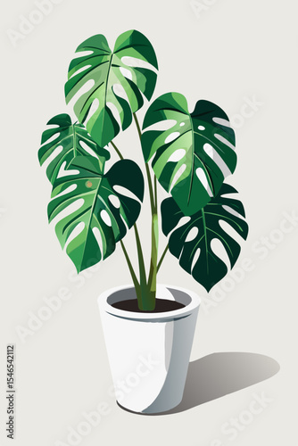 Monstera deliciosa plant in a white pot illustration