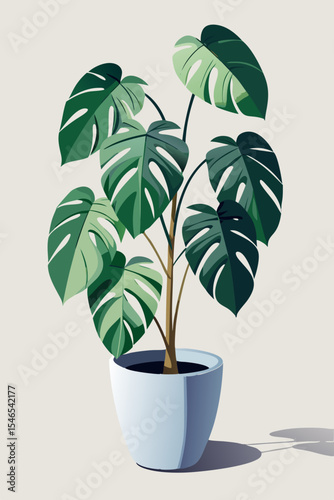 Stylish monstera deliciosa plant in light blue pot