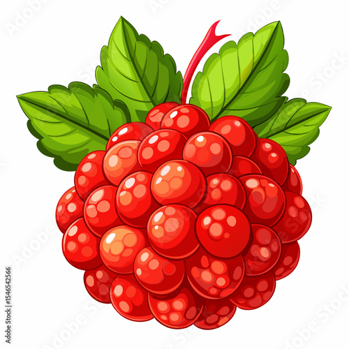 Fresh red cloudberry with green leaves illustration