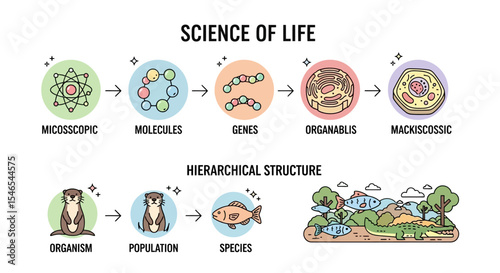 Illustrated Science of Life Diagram Depicting Hierarchical Biological Structures