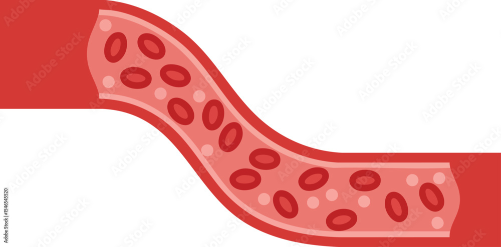 Obraz premium Blood vessel illustration showing red blood cells flowing inside artery with red and pink colors for medical education and health awareness 