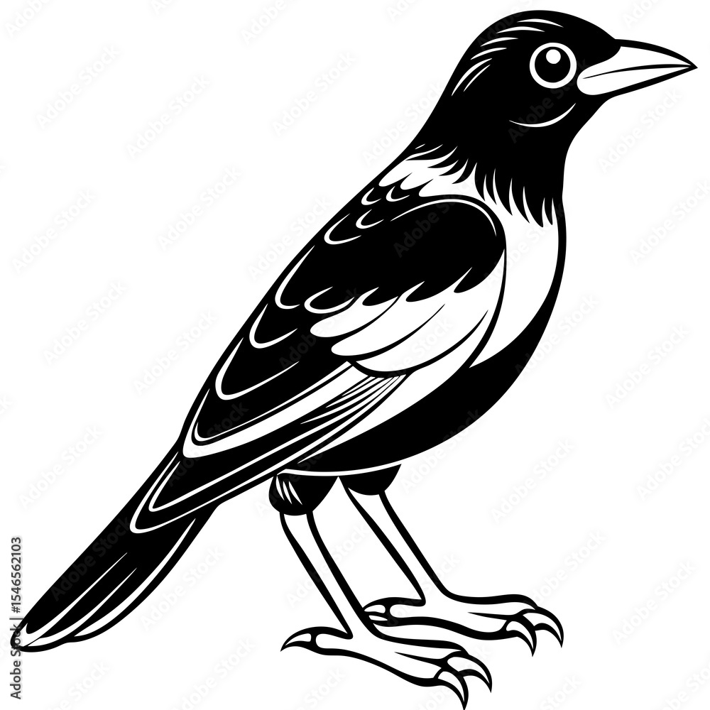 Obraz premium Magpie illustration isolated on white background in black and white