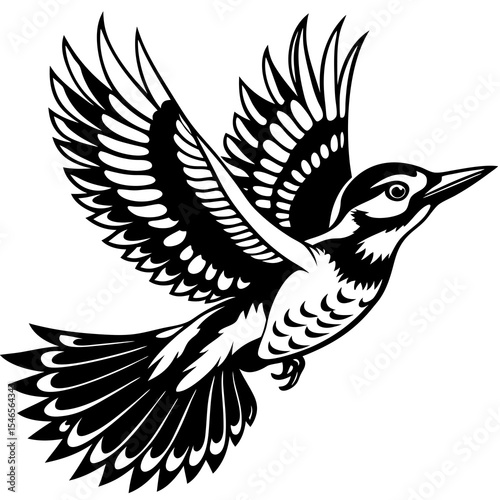 Woodpecker flies isolated on white background with wings spread