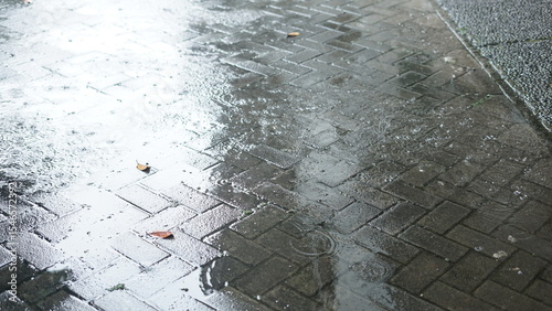 Photos front yard wet and waterlogged due to rain with dry leaves falling from the tree