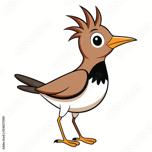 Sparrow bard white background