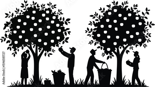 Silhouettes of people picking apples in orchard for autumn harvest scene design