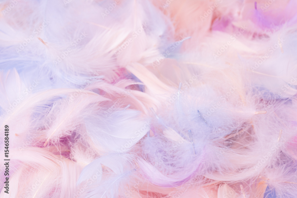 Fototapeta premium Colorful feather background, top view.