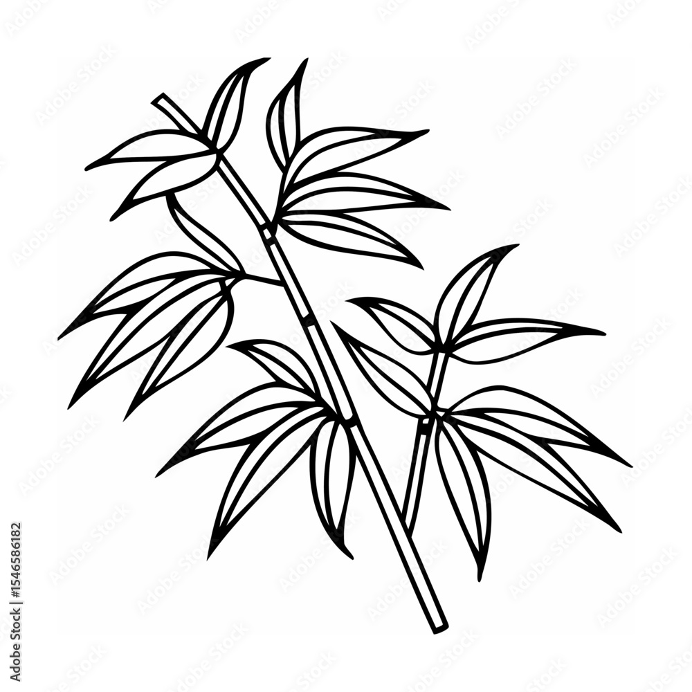 Fototapeta premium Black and White Line Drawing of Bamboo Branches with Leaves