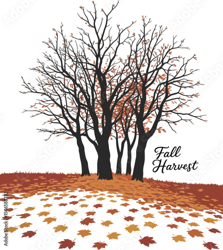  Minimalist bare trees in autumn silhouette with fallen leaves and "fall harvest" text