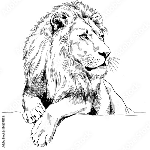 A realistic black-and-white hand-drawn sketch of a lion standing tall with a full mane and strong muscular build. The illustration captures the animal's natural anatomy and regal presence
