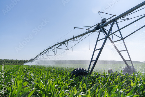 Agricultural pivot irrigation system on a corn field