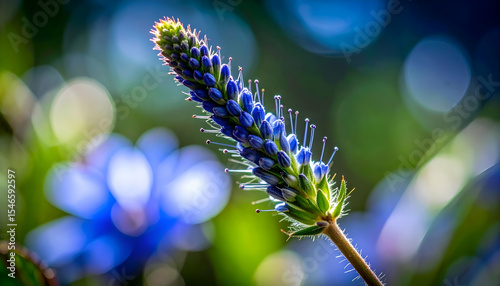 Vibrant Blue Flower Spike with Bokeh Background in Nature