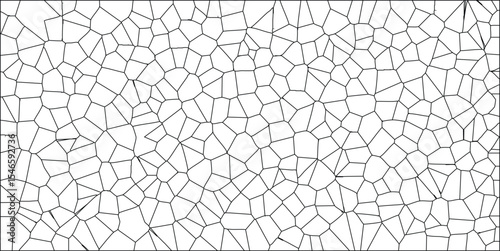 Abstract cellular pattern with voronoi diagram design in black and white a geometric arrangement