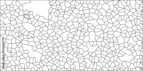 Abstract cellular structure with irregular polygons in black and white minimalist design