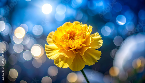 Vibrant Yellow Flower Against Dreamy Blue Background with Bokeh