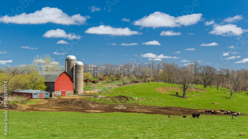 Barn, Pasture and Livestock on Farm in St. Croix County, Wisconsin