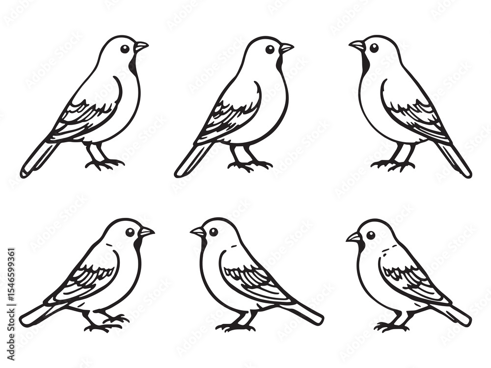 Fototapeta premium Minimal Canary Outline Vector Art