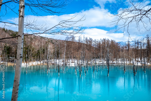 Blue pond, popular landmark in Biei town, Hokkaido, Japan, blue clear water with peaceful environment under cloudy blue sky in late winter season