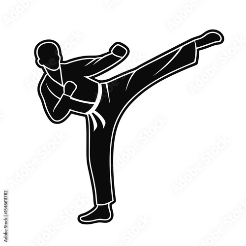 A silhouette of a man performing a karate kick