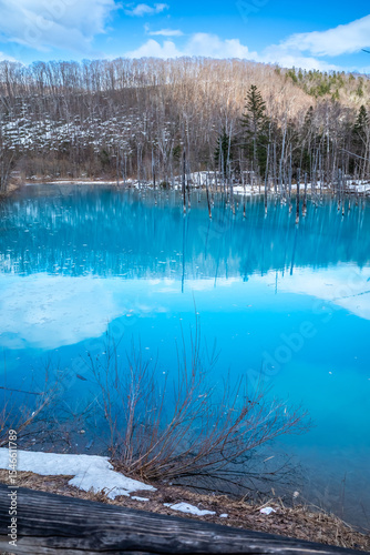 Blue pond, popular landmark in Biei town, Hokkaido, Japan, blue clear water with peaceful environment under cloudy blue sky in late winter season