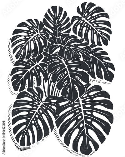 Detailed Monstera Deliciosa Leaf Illustration – Intricate Black and White Botanical Art