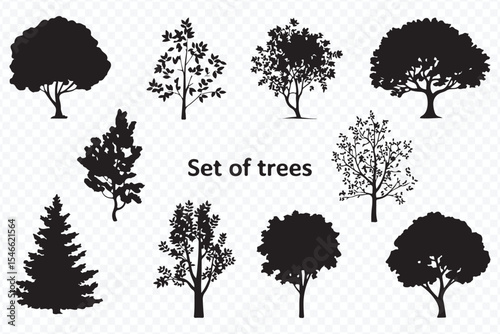 silhouette illustrations of various tree species including magnolia, maple, lilac, castor, and more