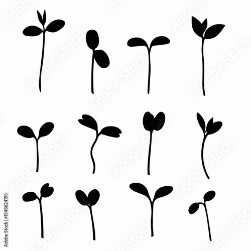 Silhouette seedlings sprouts plant growth nature