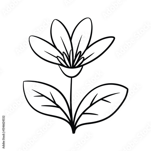 Potted Houseplant Line Art Icon Vector