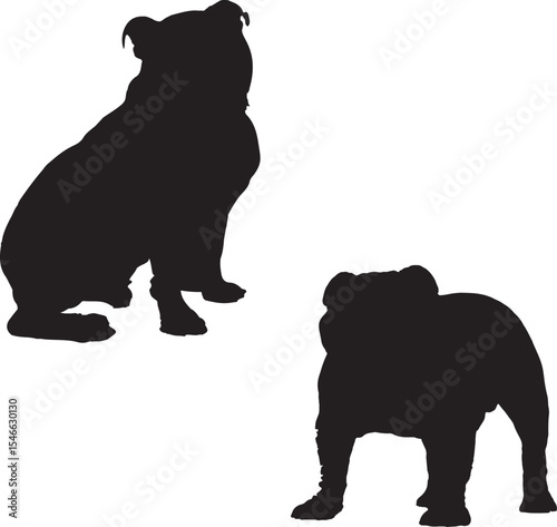 silhouette of dogs