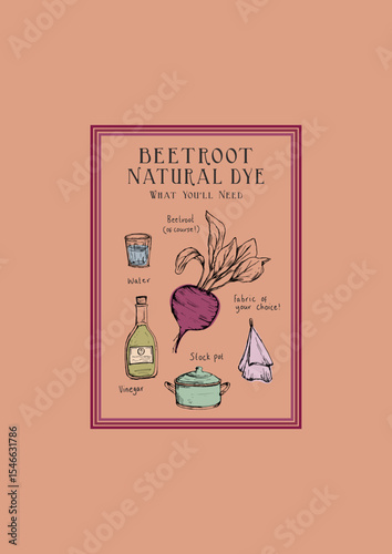  Kids Girls Boys  beetroot food dye poster graphic VECTOR ILLUSTRATION