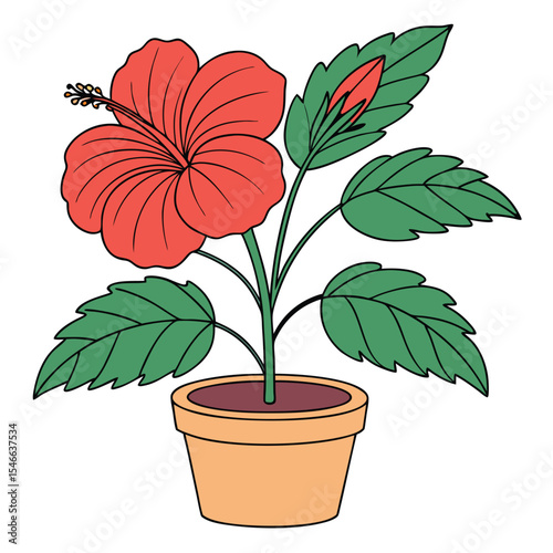 Blooming coral hibiscus flower gracefully sits within an earthy pot, set against a transparent background