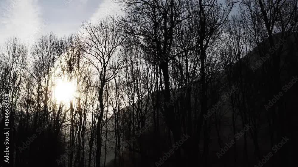 Prise de vue aérienne des Pyrénées