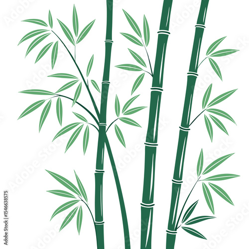 Serene shows bamboo stalks with delicate light green leaves on a clean white background