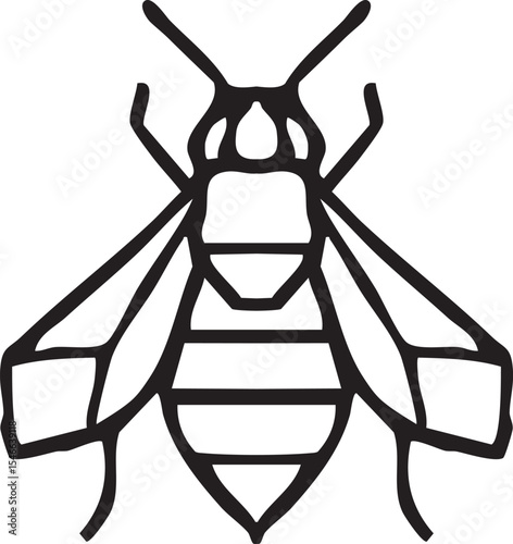 Geometric bee