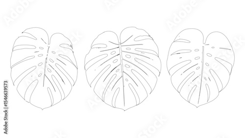 Monstera Trio Leaf Outline Vector Set