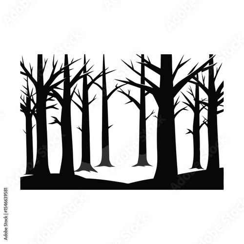 Silhouetted Tranquility A Dense Forest of Bare Trees in Striking Black and White Creating an Eerie Yet Captivating Natural Composition