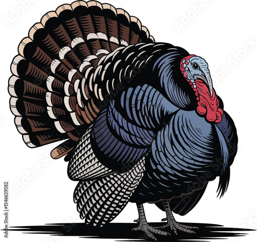 Turkey Bird Animal Wildlife Farming Thanksgiving