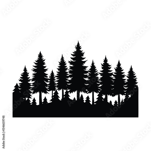 Silhouette of Coniferous Trees in a Forest Landscape