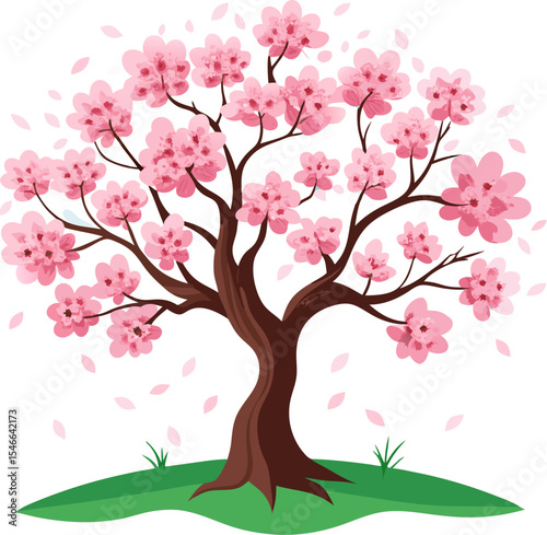 cherry blossom tree
