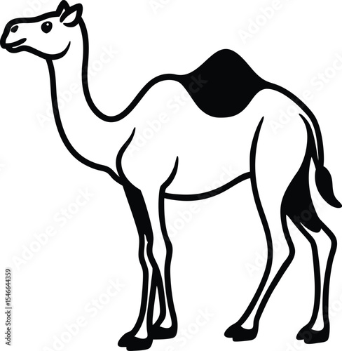 camel vector illustration