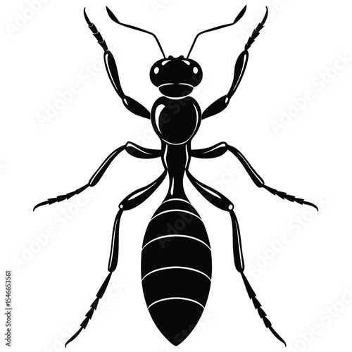 vector illustration of a black wasp