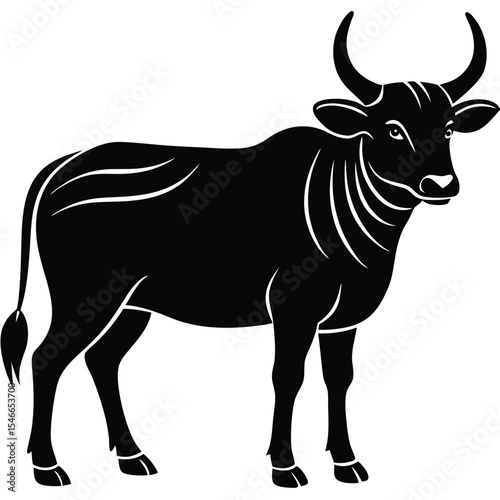 black and white cow