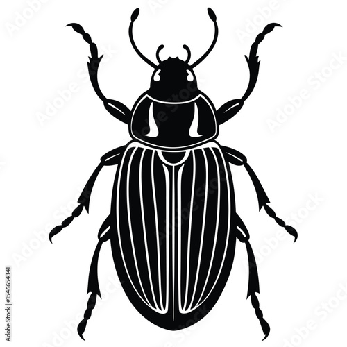 colorado potato beetle