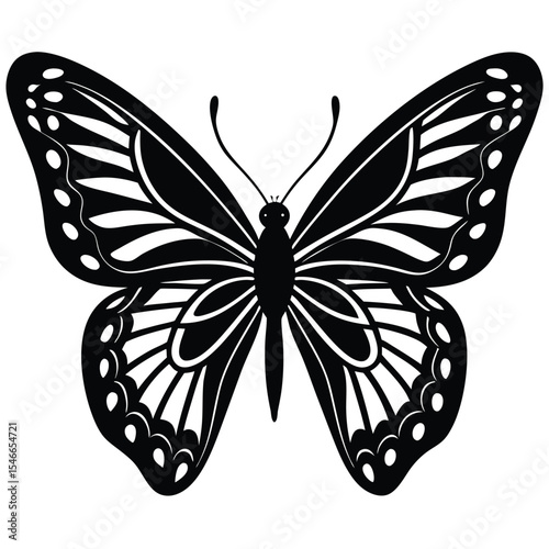 black and white butterfly