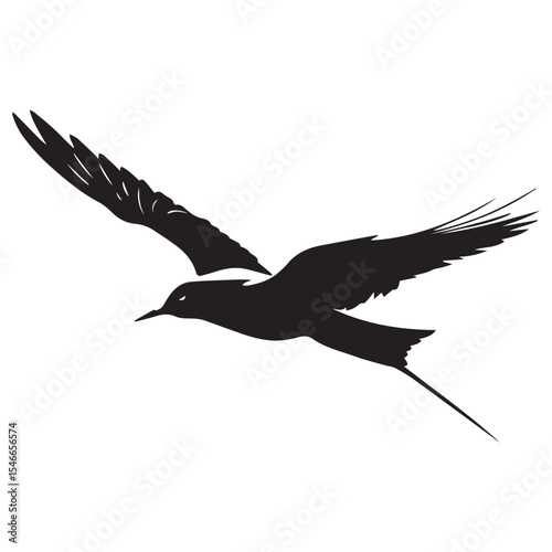 Silhouette of a bird flying with wings spread isolated on white background