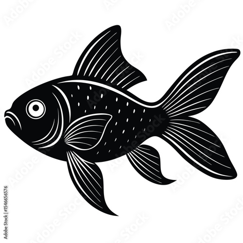 fish on a white background