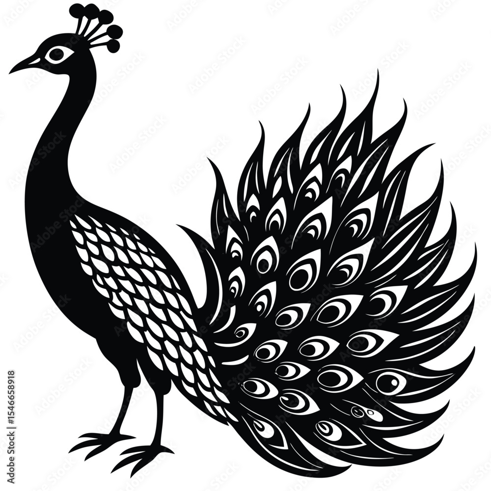 Fototapeta premium peacock vector illustration